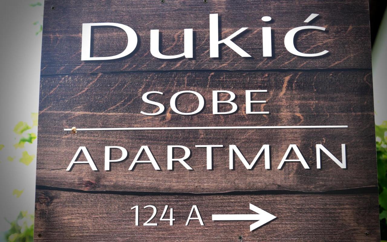 Guest House Family Dukic Rakovica Ngoại thất bức ảnh